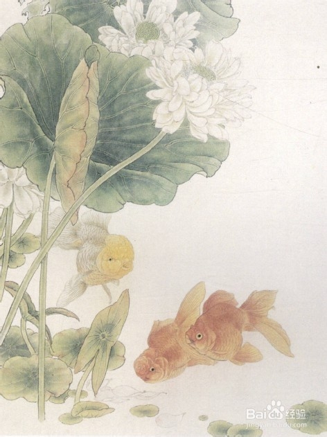 教画工笔荷花与金鱼