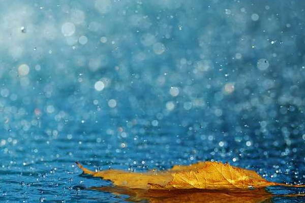 春雨是什么颜色的