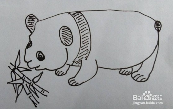 <b>大熊猫画法教程（1）怎么画，如何画大熊猫</b>