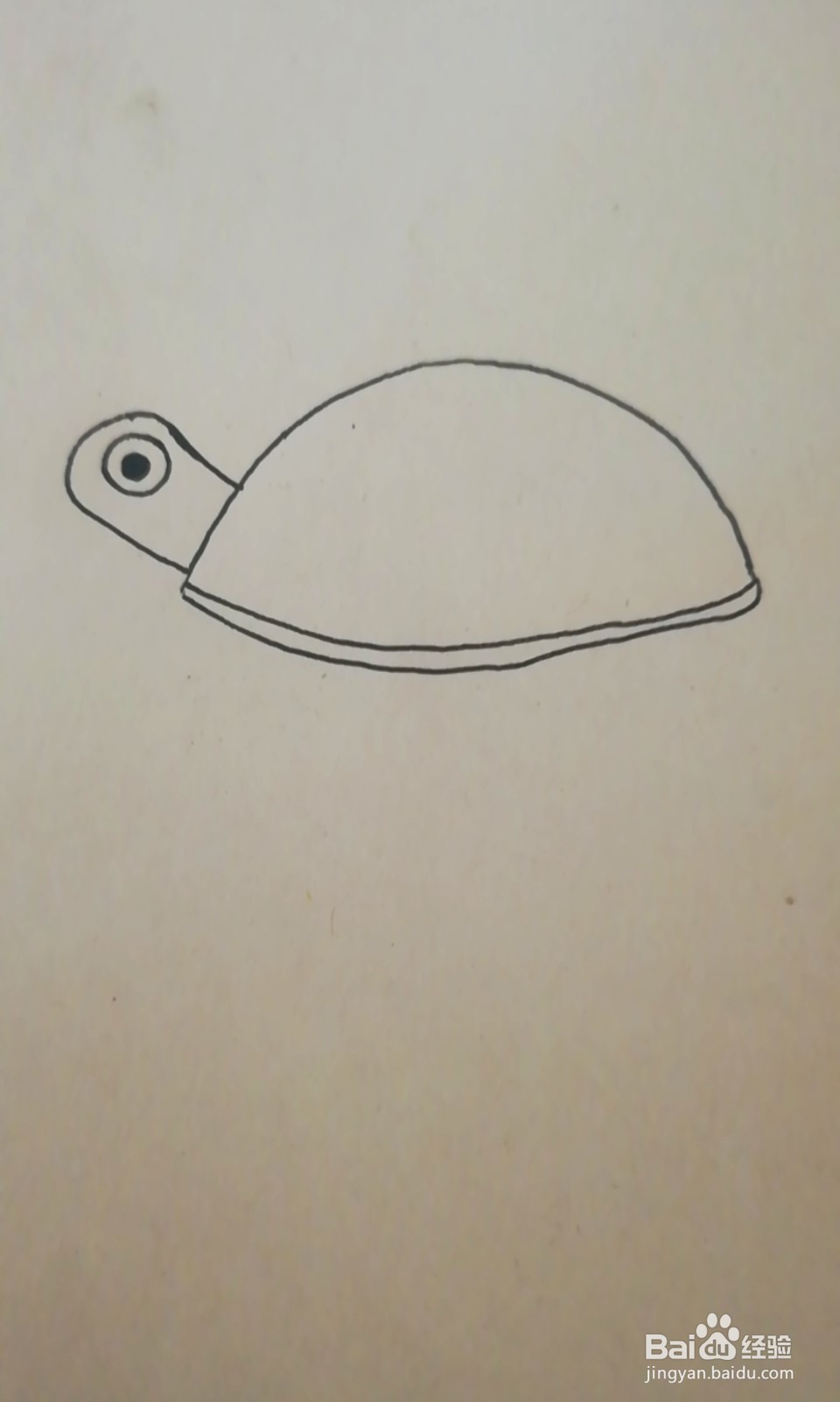 简笔画-爬行的小乌龟怎么画