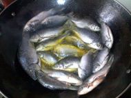 红烧鲫鱼--做法