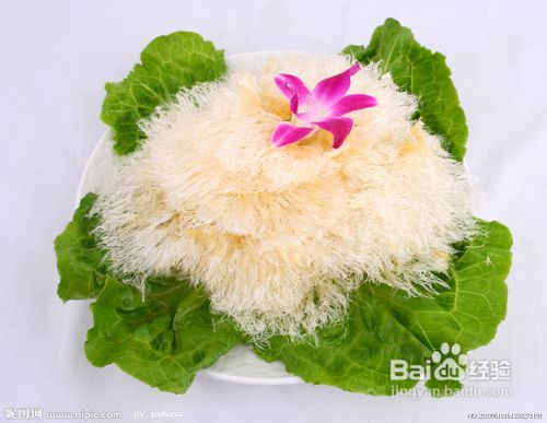 季节性鼻炎怎么做好饮食护理