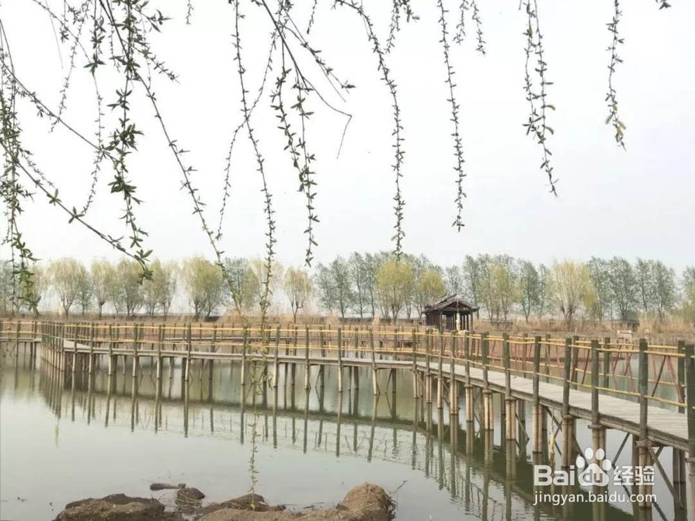 高邮周末踏青一日游推荐