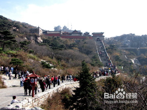 山东印象之体验泰山