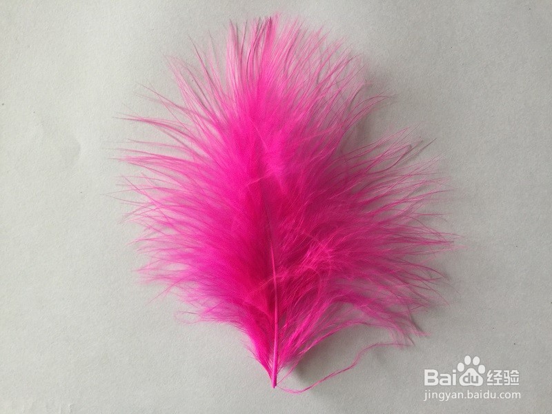手工制作羽毛扇子、舞蹈扇