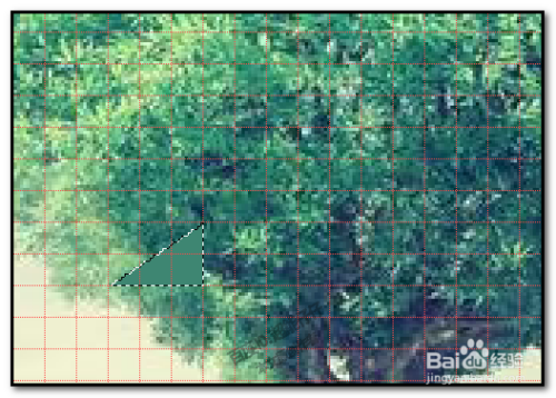 上一步，上一步是CTRL加什么