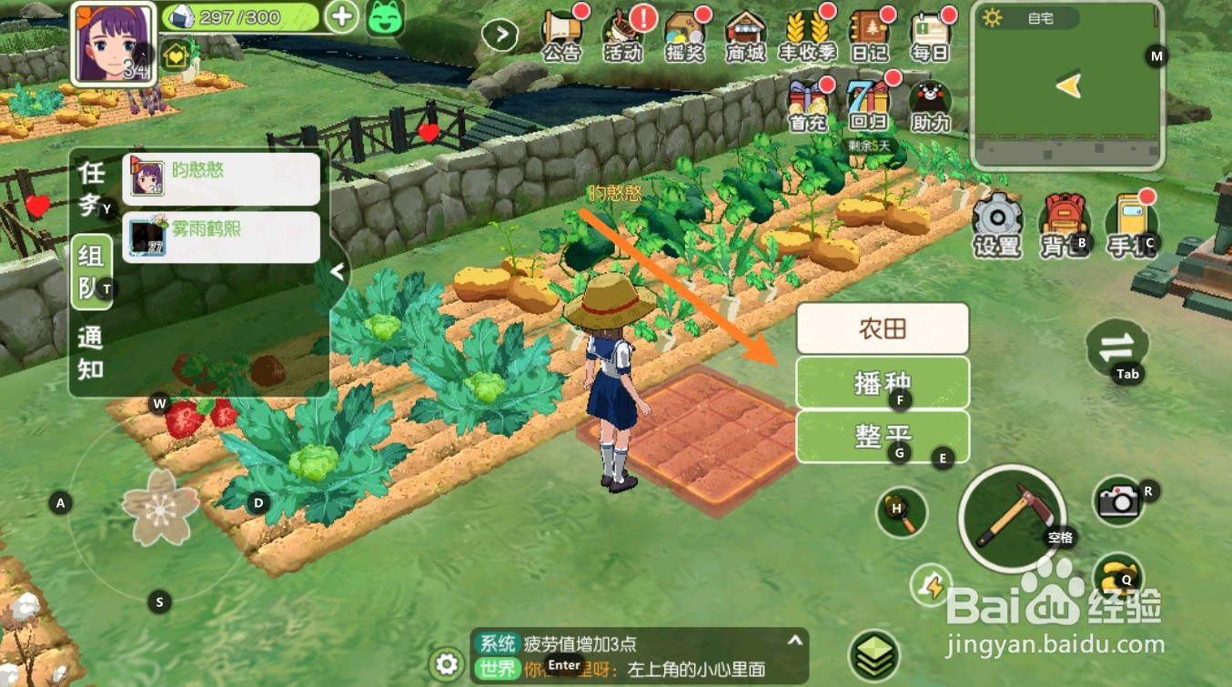 小森生活怎么种地