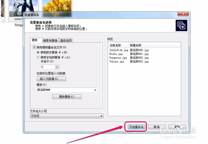 acdsee如何批量(大量多张)重命名(修改名称)图片
