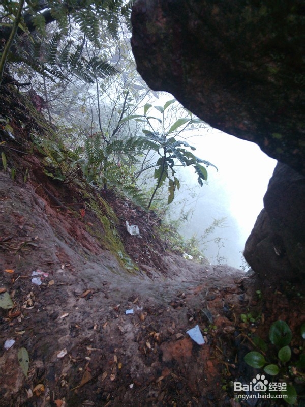 成都清明节旅游攻略