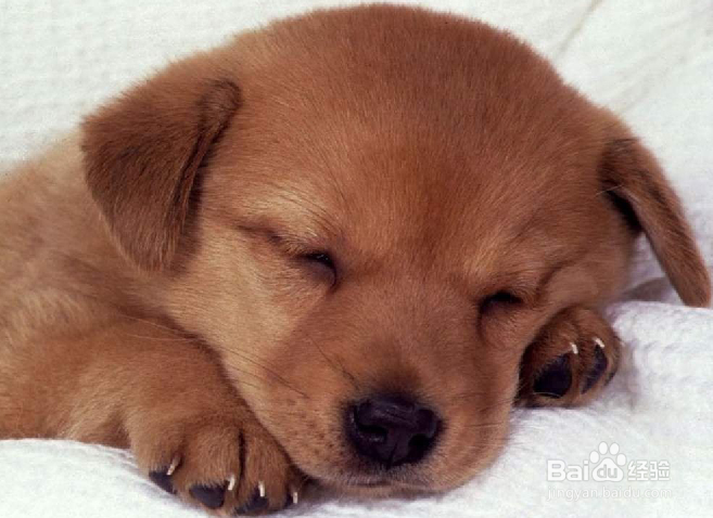 PS--利用“消失点滤镜”制作画中画的效果