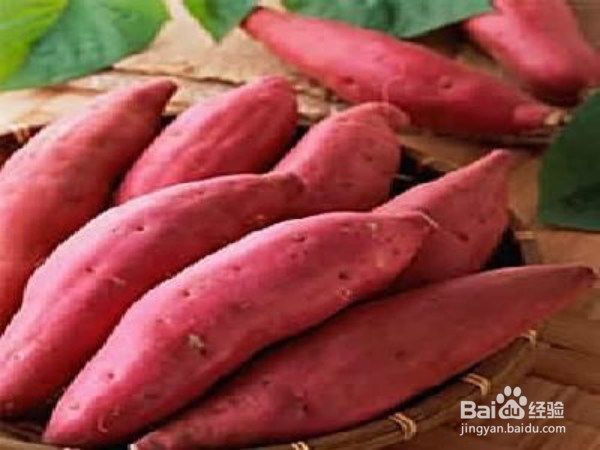 哪些食物可以保护孩子的视力