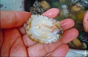 鲍鱼鸡汤怎么煲