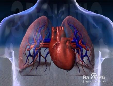 脱发后新头发为什么长不出来？