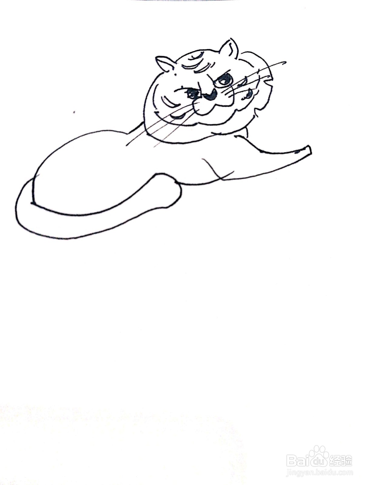 趴着的老虎线描画怎么画