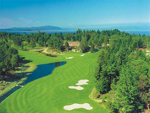 教你如何更详细的了解高尔夫