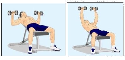 怎样用哑铃练胸肌(收藏版)