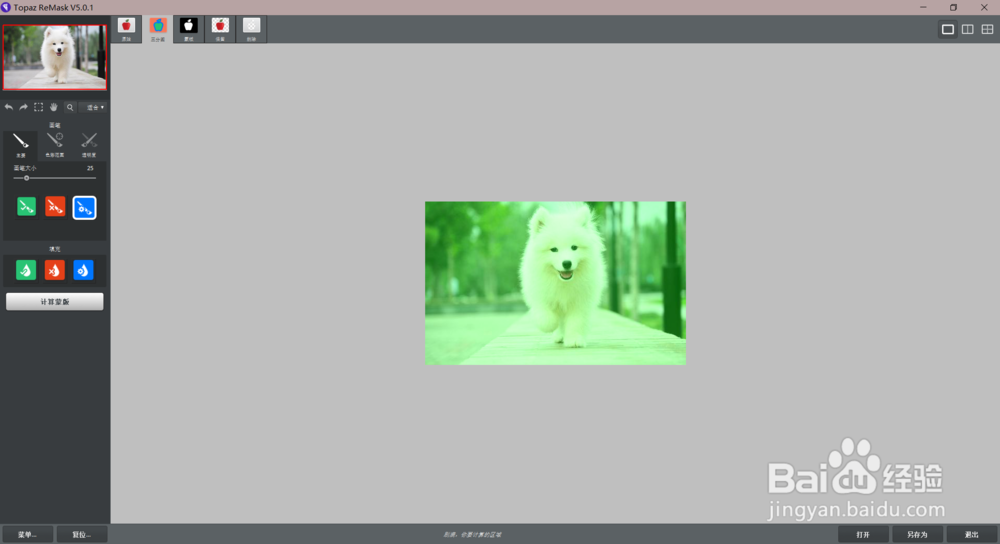 Topaz ReMask 5怎么输出透明背景图片
