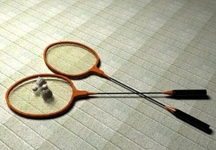 如何挑选一个好的羽毛球拍