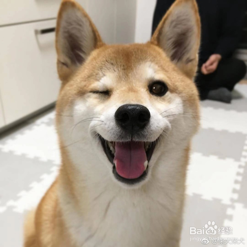 天气冷怎么起床