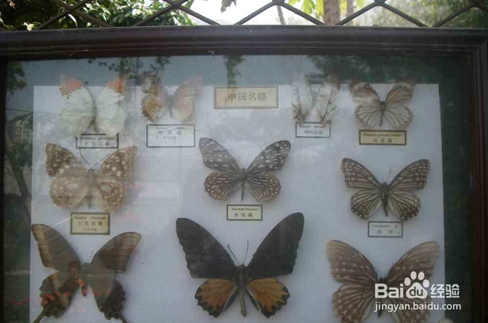 青青世界有什么好玩的