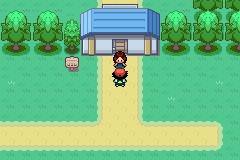 口袋妖怪圣灰攻略图片5