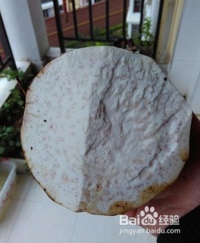 香芋蒸排骨怎么做