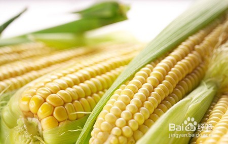 玉米汁怎么做科学