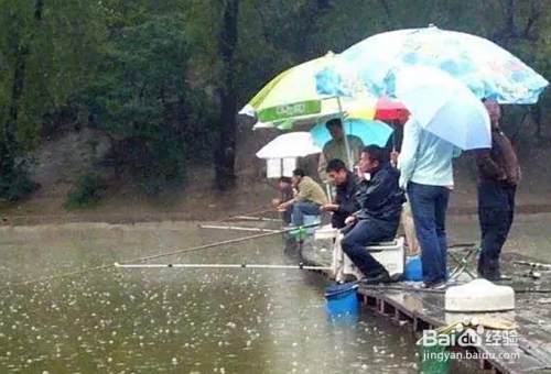 下雨天好钓鱼吗 下雨对钓鱼有什么影响 百度经验