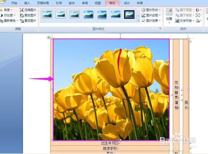 怎样在表格里插入图片