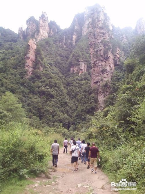 精彩图片收集的方法