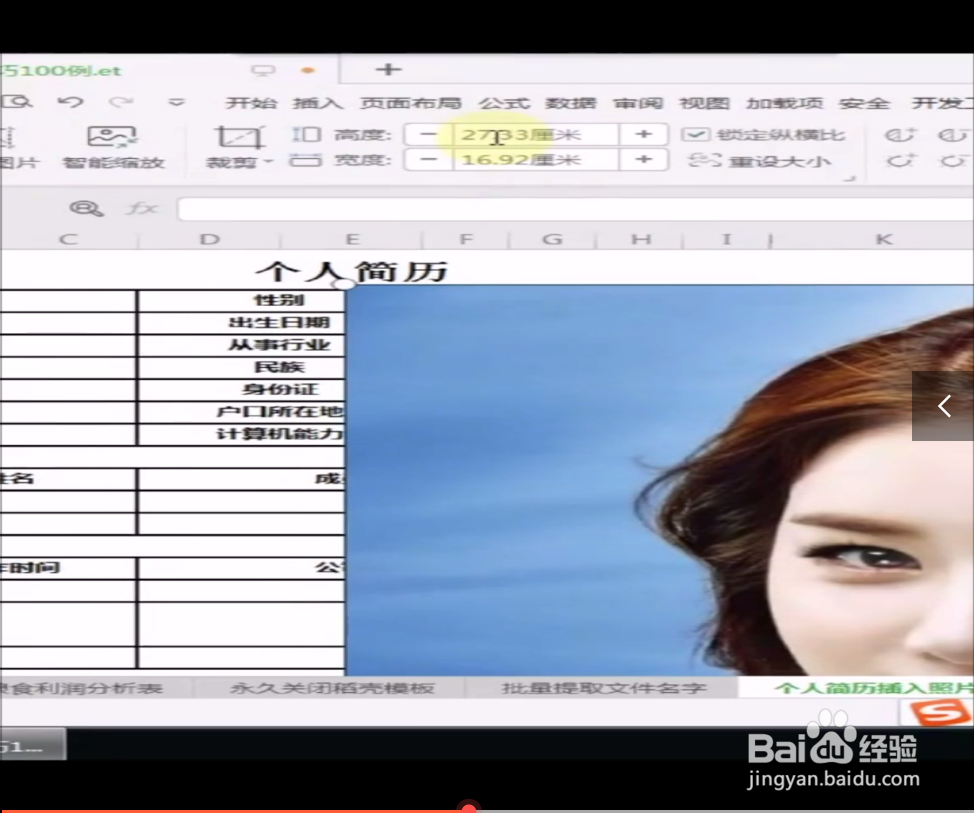 个人简历如何快速插入图片？