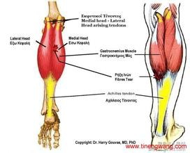 如何通过练腿来增大训练效果