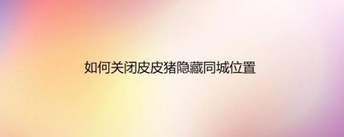如何关闭皮皮猪隐藏同城位置
