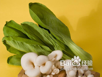 排水消脂食物吃出美腿