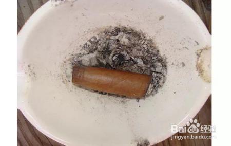 花盆边戳个洞，埋点它，花猛蹿狂长，叶子长成绿瀑布!