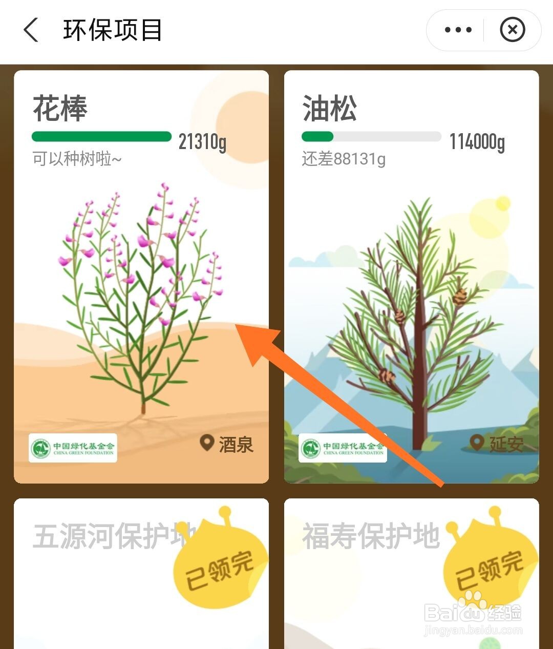 蚂蚁森林怎么种树