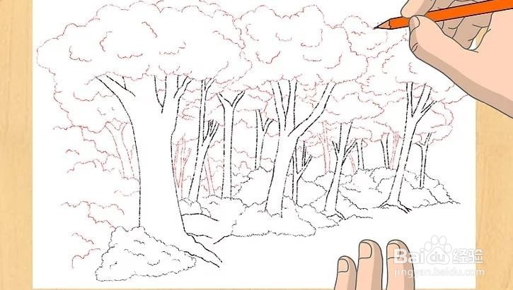 怎样教孩子画深林