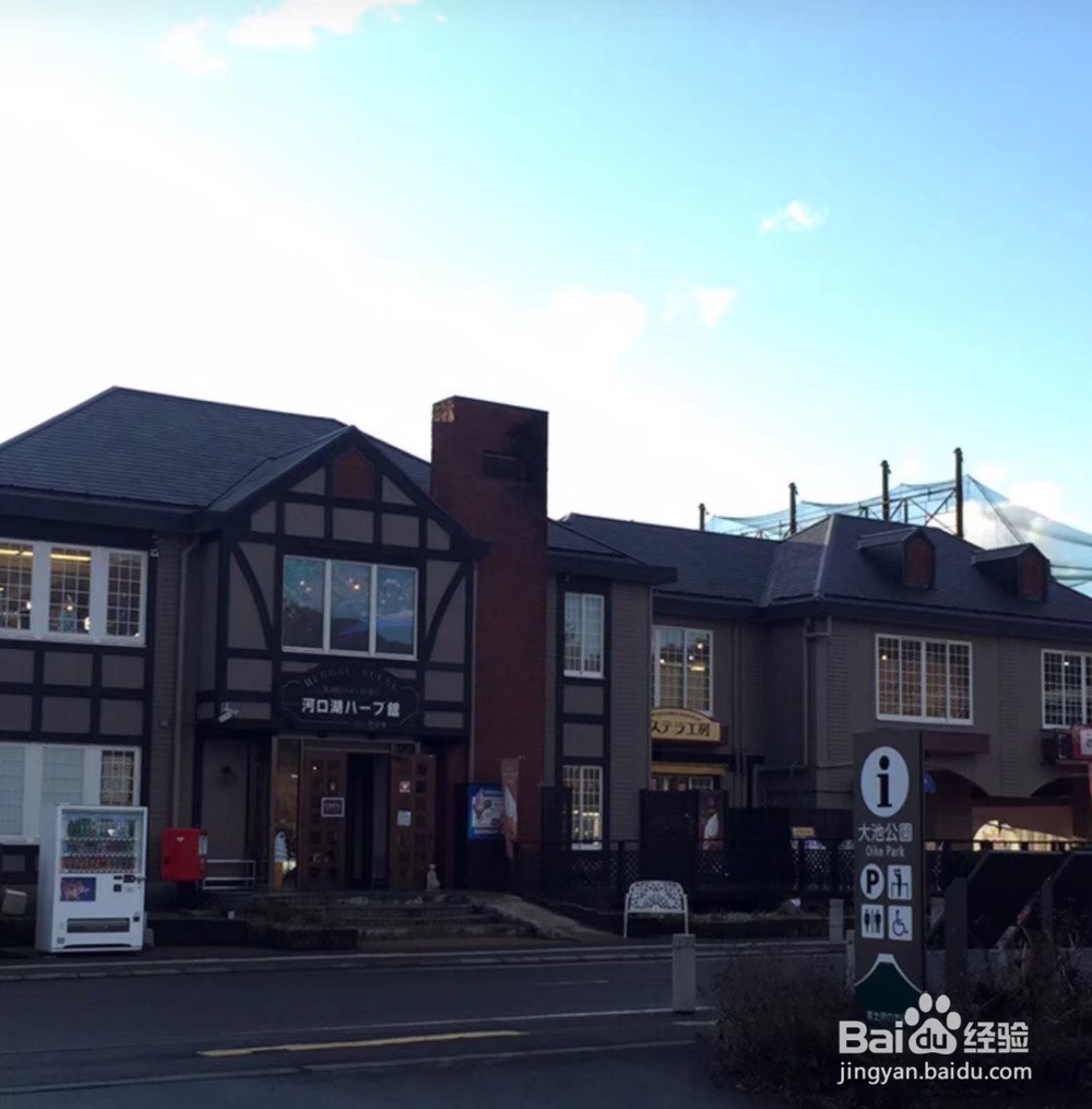 京都的旅游攻略