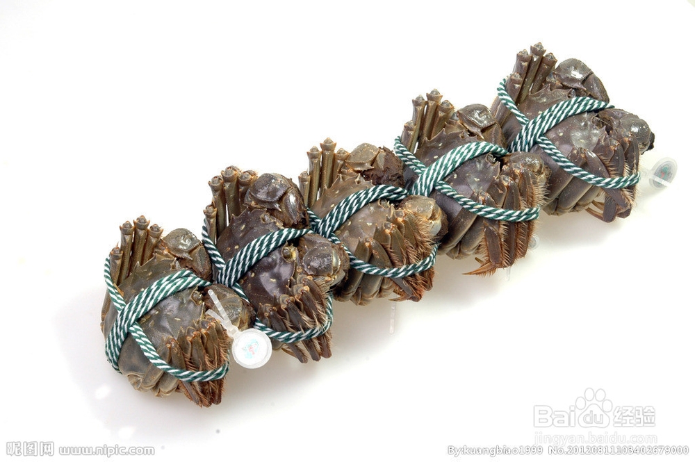 如何鉴别真假阳澄湖大闸蟹