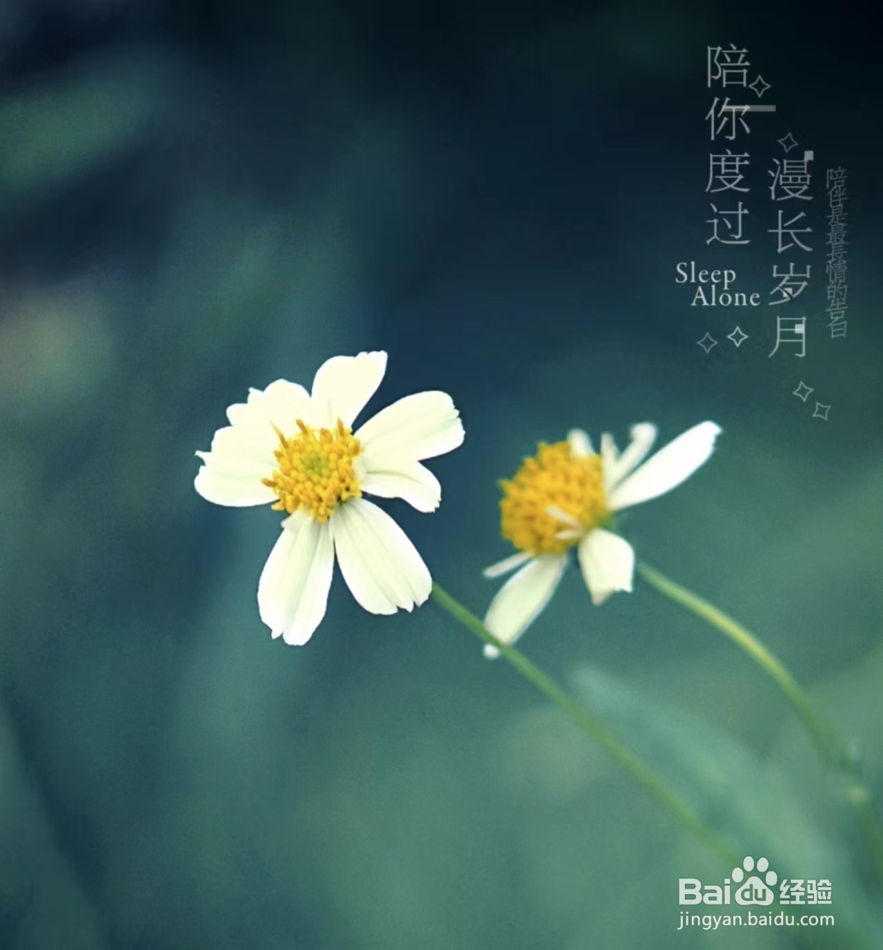 怎样在疫情之下维持异地恋