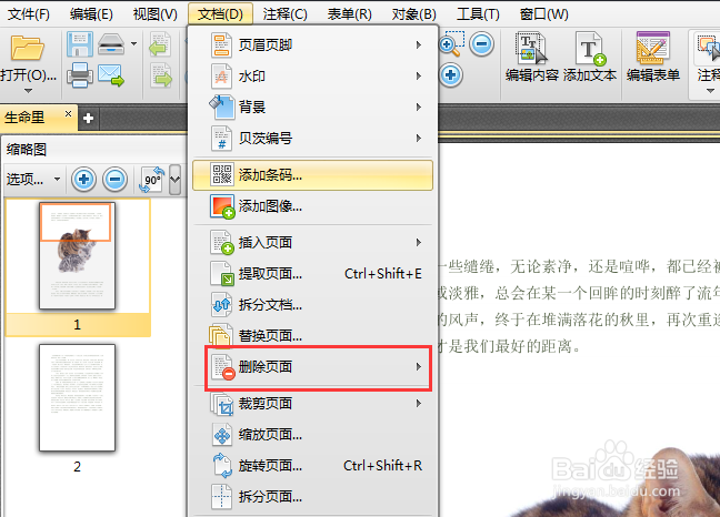 如何删除PDF文档中的一个页面