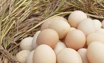 鸡蛋的挑选方法
