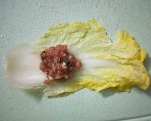 超有食欲又好吃的娃娃菜饺子的做法