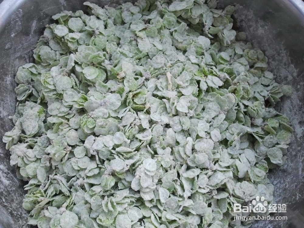 在农村你会做蒸榆钱吗，看图学做一定很好吃