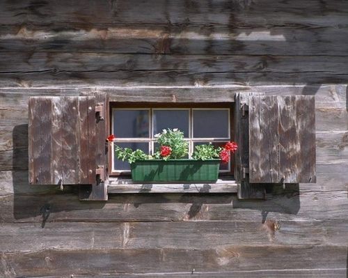 清除装修异味的方法