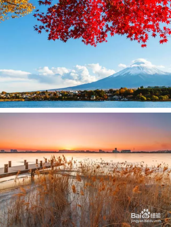 秋季如何拍出好照片？看完这篇文章你就全懂了！