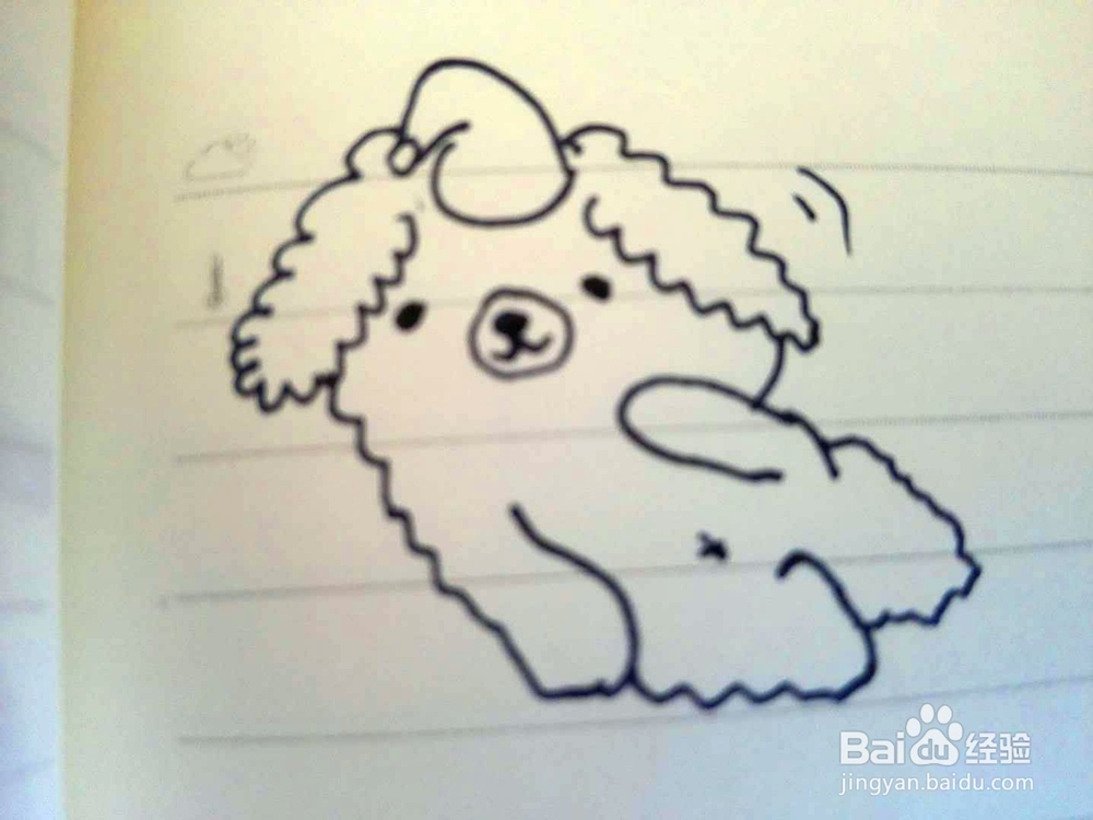 小绵羊的简笔画画法