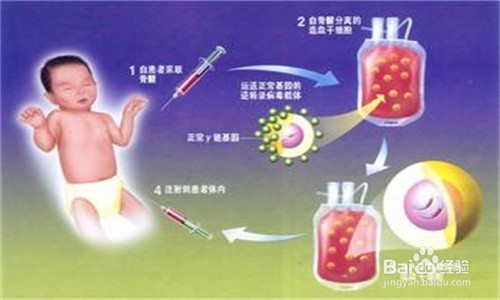 基因疗法和活细胞疗法