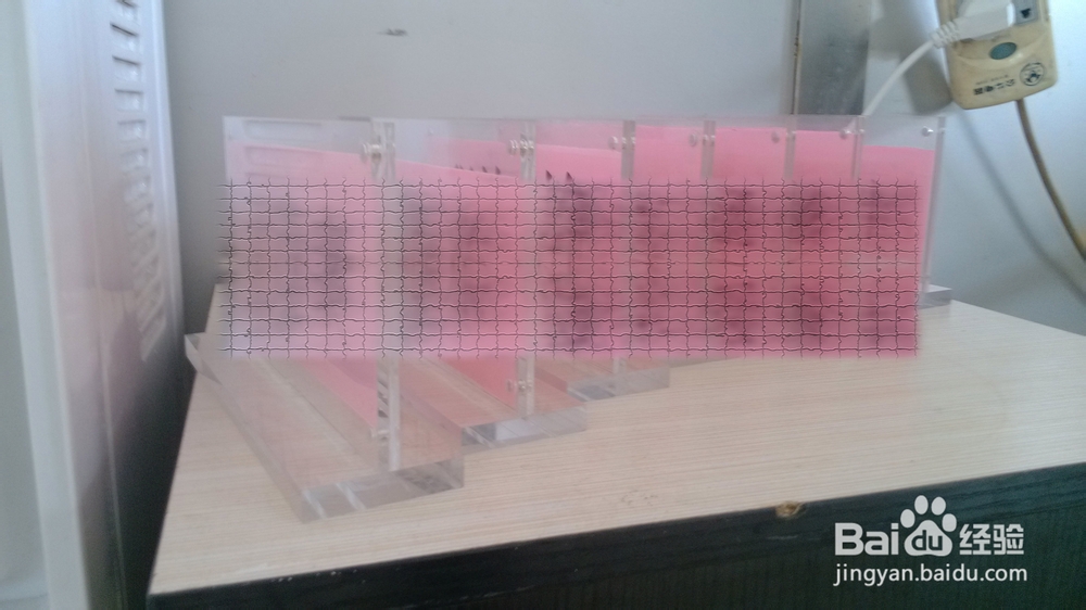 企业在会议前怎么合理布置会场?