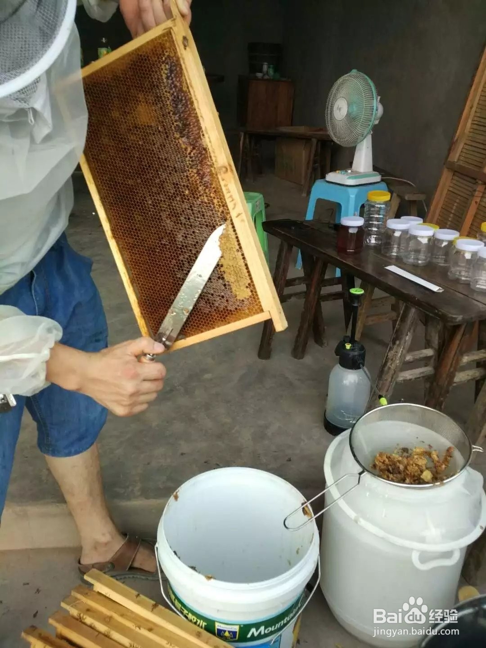 蜜蜂养殖步骤